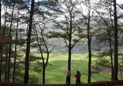 Going to Lumiang Cave View