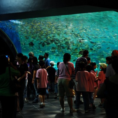 Manila Oceanarium