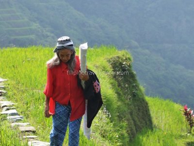 a local woman walking by the rice terraces
