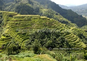 Banaue Rice terraces Tour