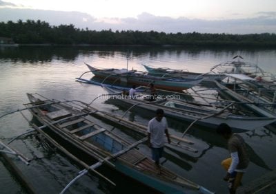 Firefly watching boats