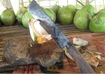 Fresh coconut juice