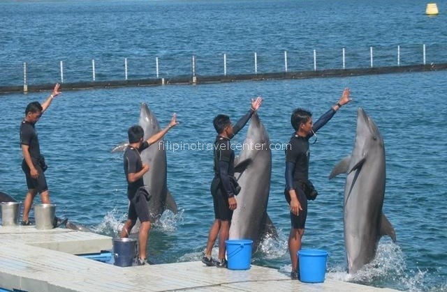 Ocean Adventure