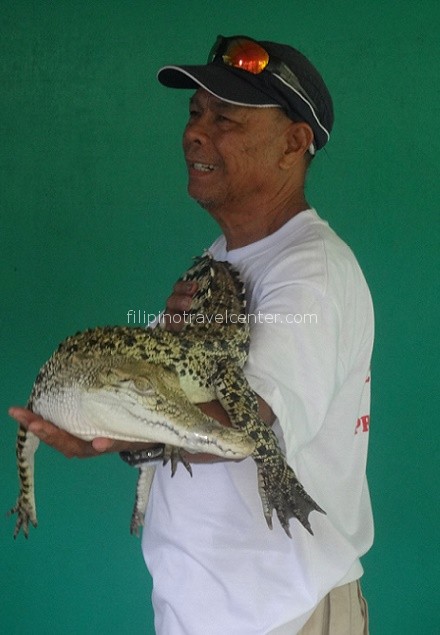 Crocodile Institute Palawan