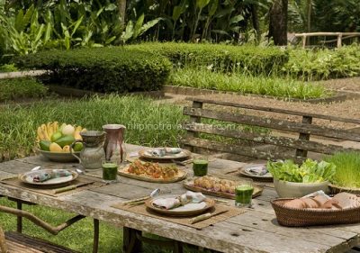 Vegan Lunch in a tropical setting