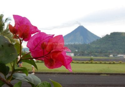 Mt Mayon in 2008 from Legaspi airport