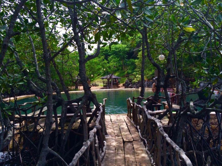 Maguinit Hotspring in the mangroves Coron Palawan