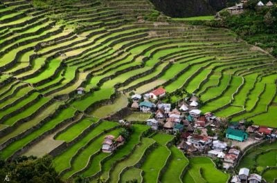 Car rental for Banaue and Sagada Rice terraces