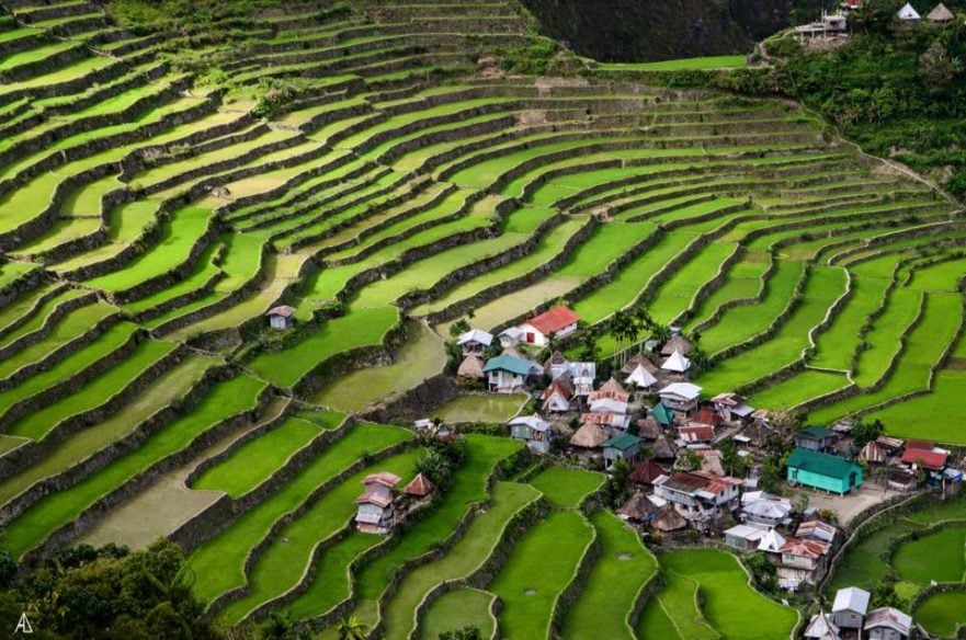 Car rental for Banaue and Sagada Rice terraces Car rental for Banaue and Sagada Rice terraces