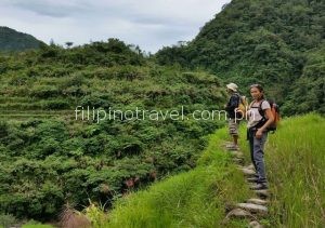 banaue-stpping-stone