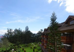 Camp john hay the manor forest view