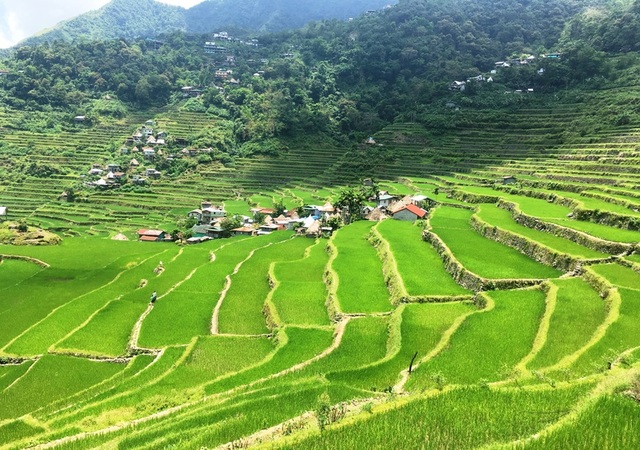 Bangaan Rice Terraces Tribe Local Village