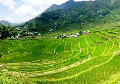 Batad Rice Terraces