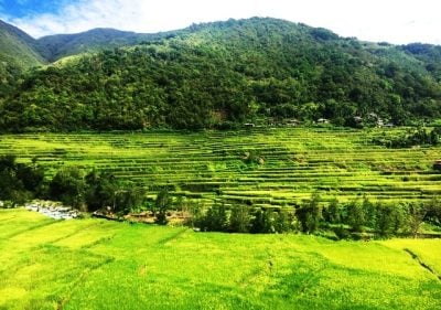 Hapao Terraces