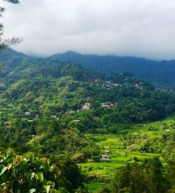 Mayoyao Terraces