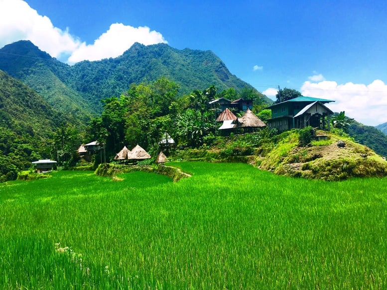 Batad Rice Terraces