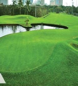 Club Intramuros Fairway