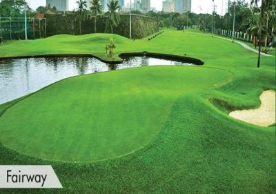 Club Intramuros Fairway